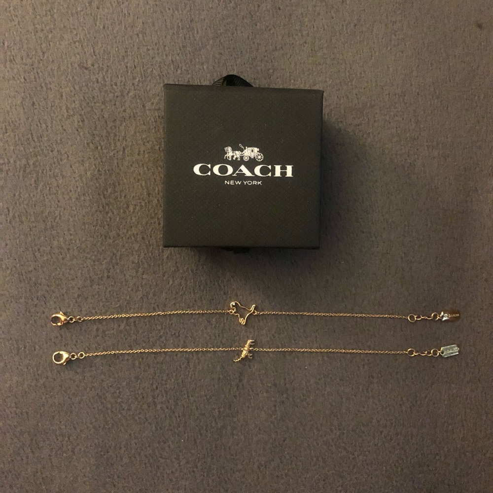 Coach bracelet dinosaur set